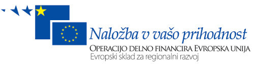 logotip_Nalozba_v_naso_prihodnost