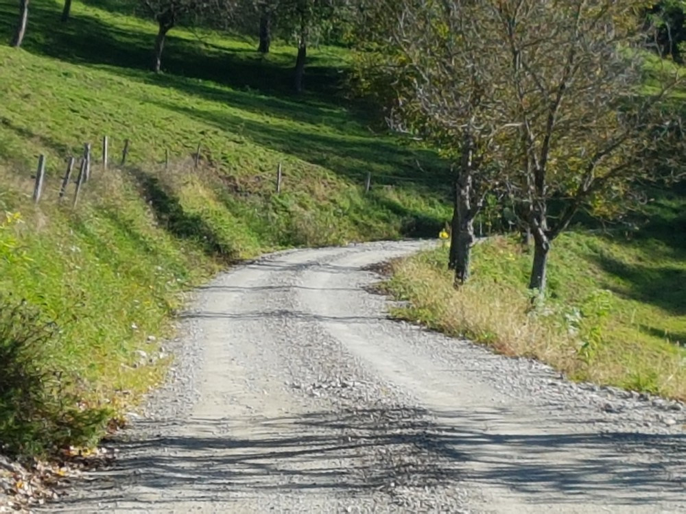 Zgornja Vižinga- Mori- Občina Muta