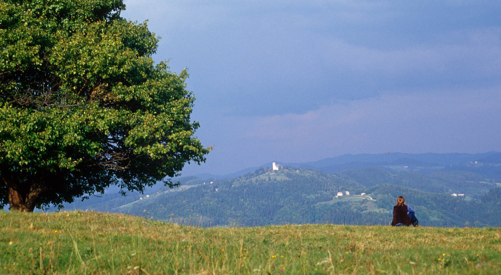 Občina Radlje ob Dravi 